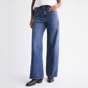 Abercrombie and Fitch Curve Love The Wide Leg High Rise Size 32